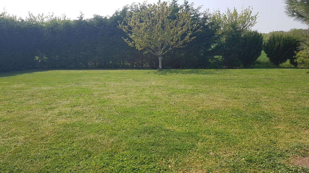 Hébergement de vacances 2-4 Pers Avec Piscine La Selle-sur-le-Bied